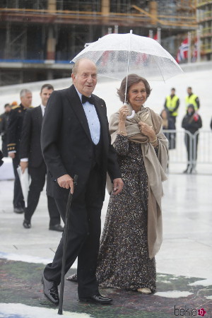 INDESmed elegant walking stick King Juan Carlos
