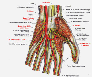 tendinitis por el uso de muletas y andadores