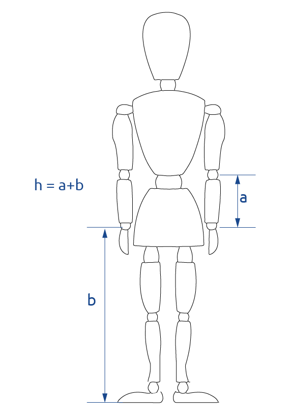 Crutches for walking INDESmed sizes