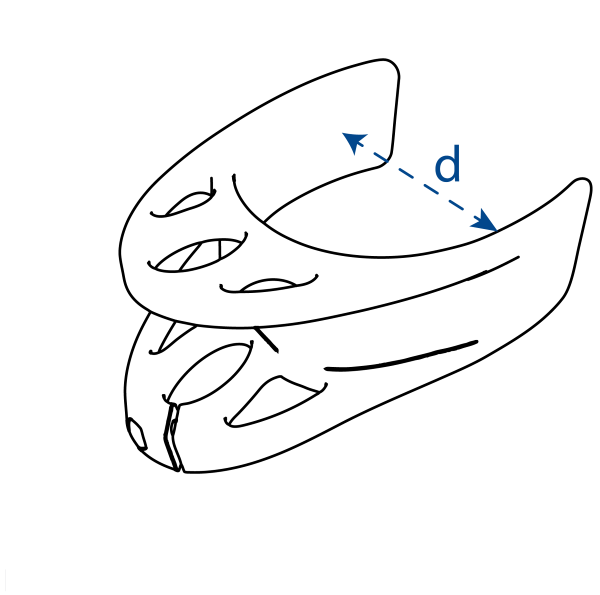Forearm Crutches Cuff INDESmed sizes